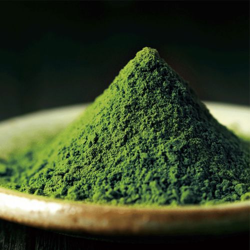 4966425953894







京都茶の蔵
宇治抹茶 一人静