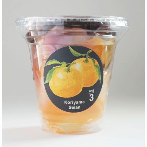 4972180210554



ｹｰｽﾊﾝﾊﾞｲ



岩手県産
郡山製餡 and3 ゆずあんみつ