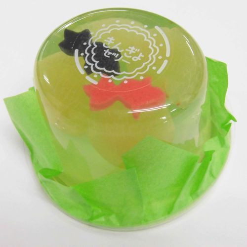 4992107183068



183214



青木光悦堂
金魚ゼリー ぶどう