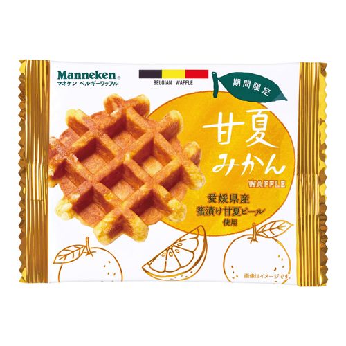 4956248015329







国分首都圏
甘夏みかんワッフル