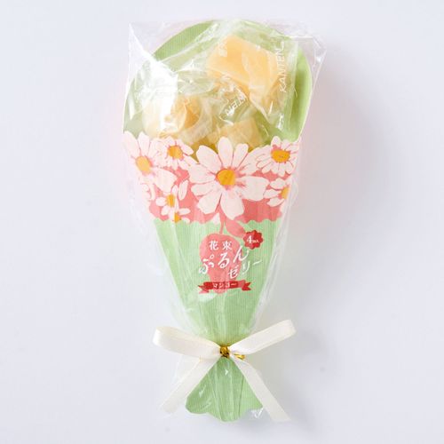 4542511367679



VWT-02A



アデリー
花束ぷるんゼリー（マンゴー）4個