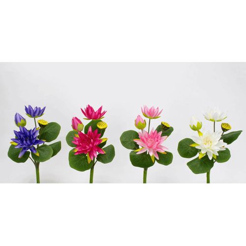 4582133052706







日本ビダヤコム
ロータスブッシュ