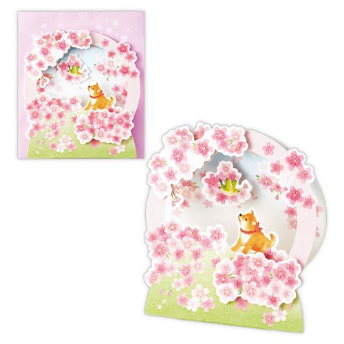 4961099831493



831493



日本ホールマーク
春柄グリーティングカード 桜リース