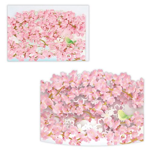 4961099812812



812812



日本ホールマーク
カーブレーザーカット 桜とうぐいす 春柄立体グリーティングカード