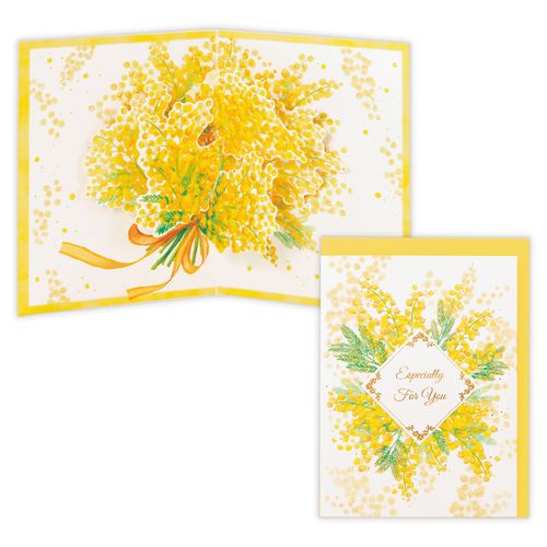 4961099849764



849764



日本ホールマーク
立体カード ミモザブーケ