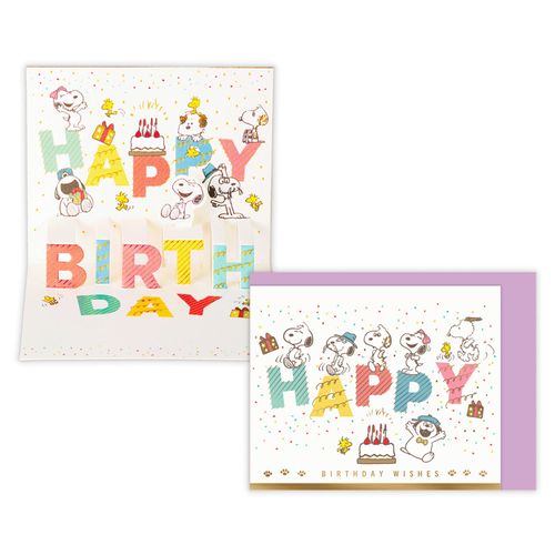 4961099850074



850074



日本ホールマーク
SNOOPY 兄弟とバースデー文字