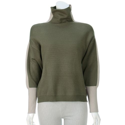 チャーミング
バイカラータートルネックニット