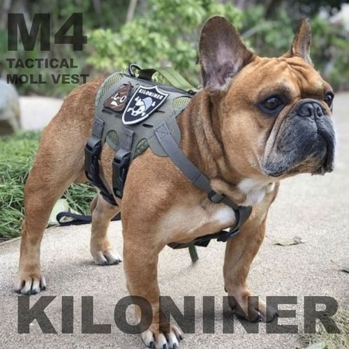 0810147080830







ＳＵＮＧＲＡＮ
M4 Tactical MOLLE Vest Laser Cut M