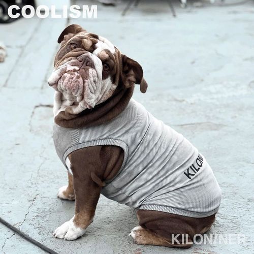 0810147081899







ＳＵＮＧＲＡＮ
Active Cooling Shirt XS～S