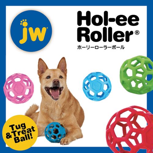 4979007710563







プラッツ
JW ホーリーローラーボール ミニ