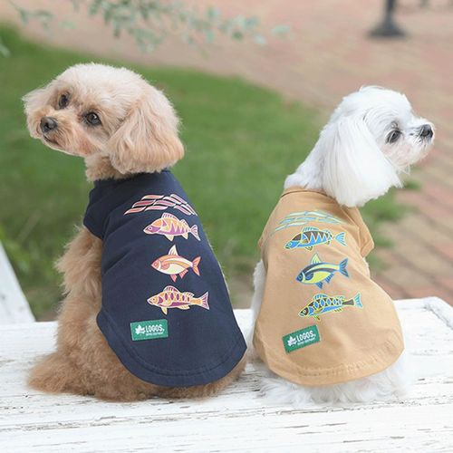 4905414381911







トレードワークス
フィッシュタンク