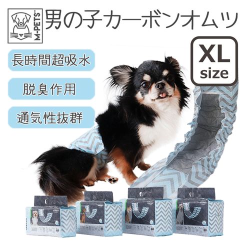 6953182761198







ペティファーム
男の子用CARBONオムツ XL 18枚入り