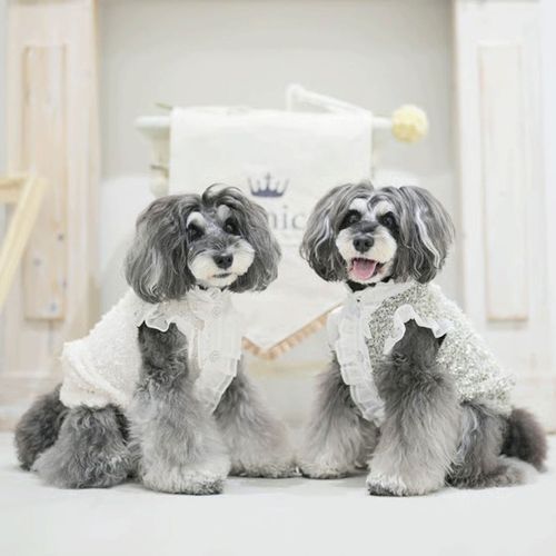 4573661483544







マーブル＆コー
genic リボンネップフリルシャツ