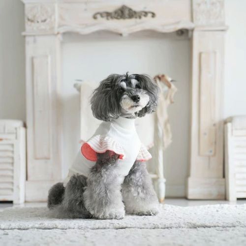 4573661483667







マーブル＆コー
genic アンブレラスリーブ