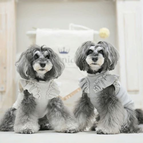 4573661483759







マーブル＆コー
genic グリッターフリルプルオーバー