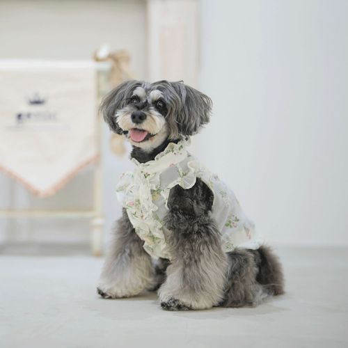 4573661480178







マーブル＆コー
genic フルール・ド・レーヴフリルシャツ