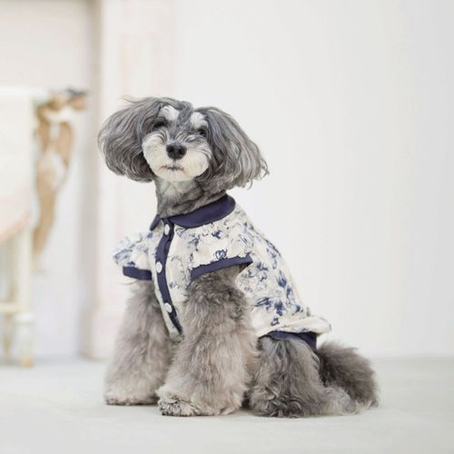 4573661480239







マーブル＆コー
genic ヴァンサンカンフルールパフスリーブシャツ