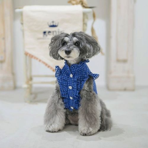 4573661480307







マーブル＆コー
genic エアリーチェックシャツ