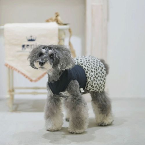 4573661481373







マーブル＆コー
genic フルールバルーンクールタンク