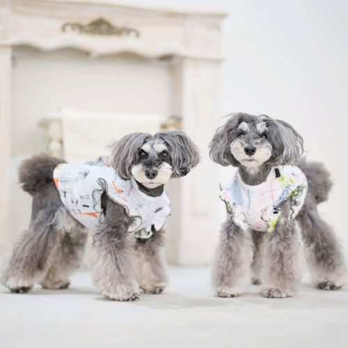 4573661480475







マーブル＆コー
genic モンマルトルフリルシャツ