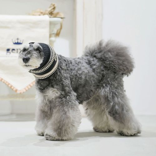 4573661480055







マーブル＆コー
genic オレイユスヌード