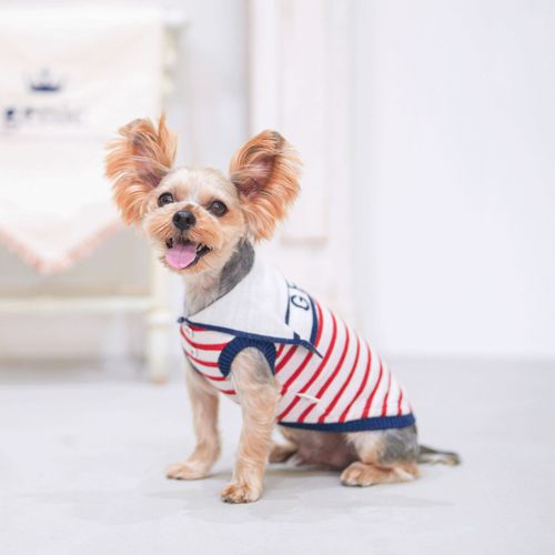 4573661482554







マーブル＆コー
genic セーラーカラーニット