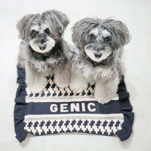 4573661480017







マーブル＆コー
genic シームレスマット