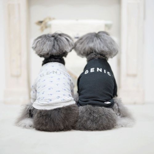 4573661482103







マーブル＆コー
GENIC×JEMORGAN ウォームサーマルロンT