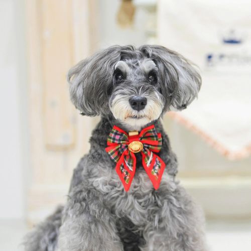 4573661483438







マーブル＆コー
genic ツイリー Sサイズ