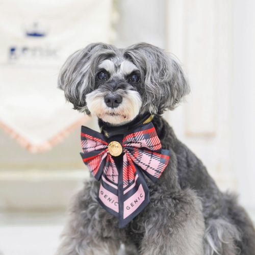 4573661483445







マーブル＆コー
genic ツイリー Mサイズ