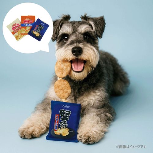 4905414338977







トレードワークス
カルビー 飛びでるおもちゃ