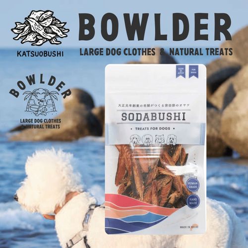 4589659920052







ＧＲＯＷＩＮＧ
宗田節 高知県産厚削り 40g