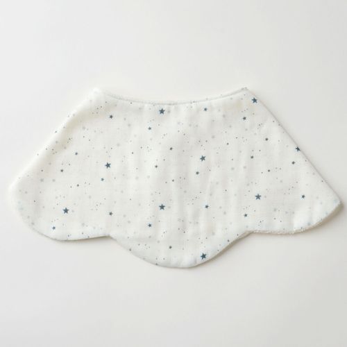 4580070176769



K04-05207



キララ
花束バーピービブ チップスター