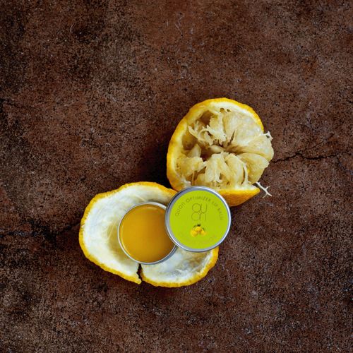 4560263171702



690



クレコス
オプティマイザーリップバームY