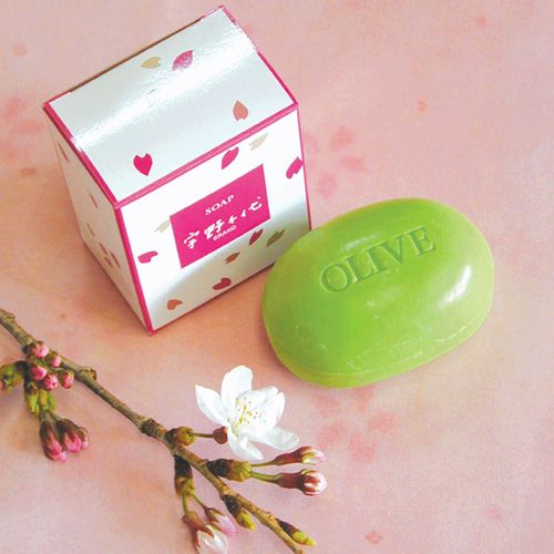 4510925000574







小豆島ヘルシーランド
宇野千代BRAND石けん