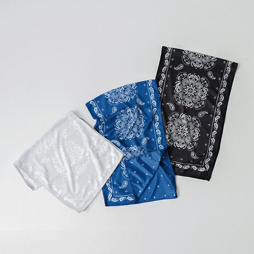 4516344382925







現代百貨
PAISLEY クールタオル