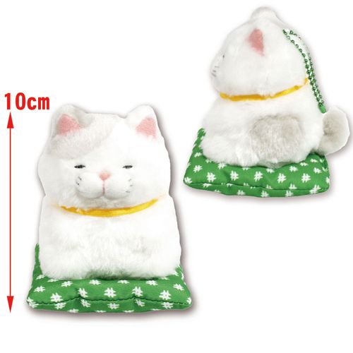 256293



アミューズ
ひげまんじゅう 正座弐マスコット さとり