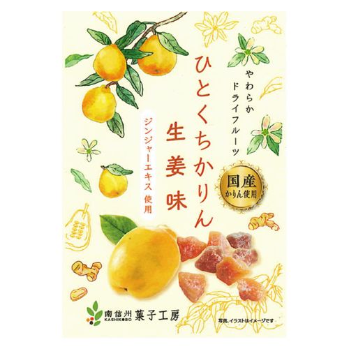 4582400142420







南信州菓子工房
ひとくちかりん 生姜味