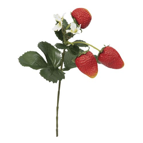 4951614569505



VEG-5695



ビバ工芸
ストロベリーピック