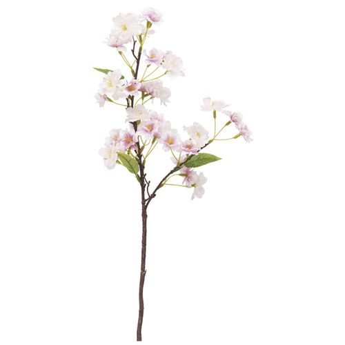 4951614255507



VA-2555



ビバ工芸
オオモリザクラ