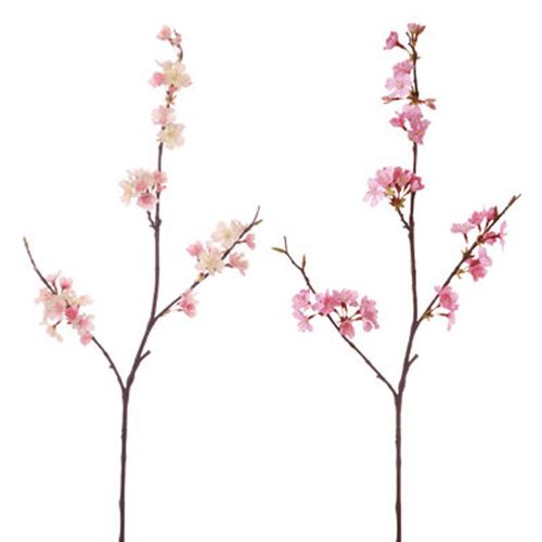 4951614644912







ビバ工芸
オオヤマザクラ M