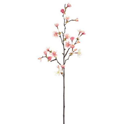 4951614657608



VE-6576



ビバ工芸
オオヤマザクラ S