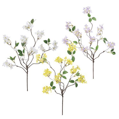 4951614256719







ビバ工芸
ワイルドフラワー