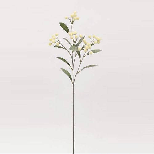 4580120814665



F5015-037C



日本ビダヤコム
ワイルドフロックベリー