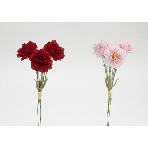 4580120826569







日本ビダヤコム
カーネーションの束