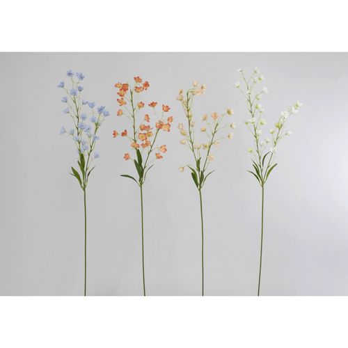 4582133053260







日本ビダヤコム
パフフラワー