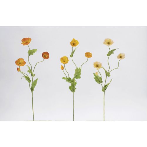 4580120821885







日本ビダヤコム
ポピー