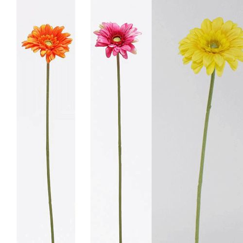 4580120828839







日本ビダヤコム
ショートガーベラ