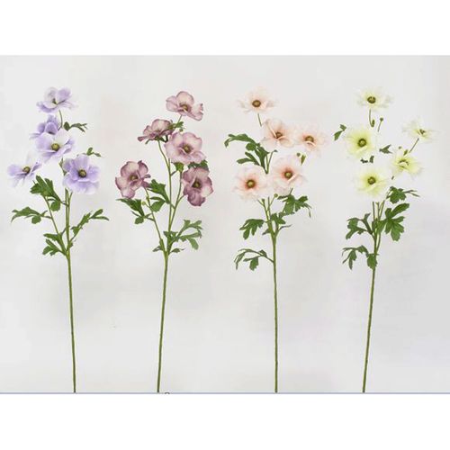 4580120828921







日本ビダヤコム
バタフライラナンキュラス