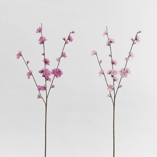 4580120822554







日本ビダヤコム
花桃